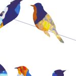 boaw-closeup2-1600x2000px